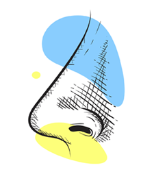 Non-Surgical Nose Job expert